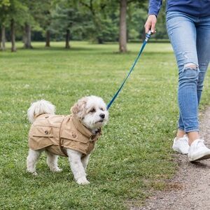 Isaac‎ Mizrahi Black and Tan Pet Jacket New without Tags